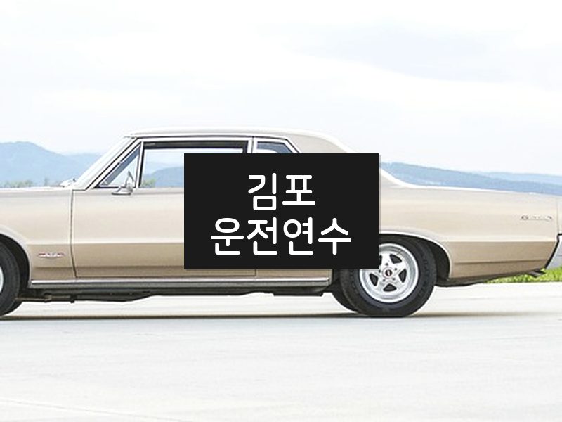 김포운전연수 후기