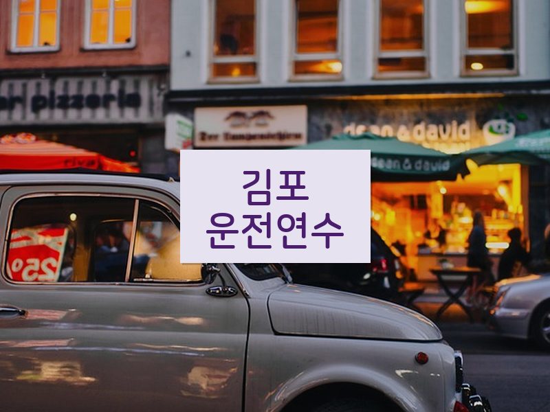 김포운전연수 후기