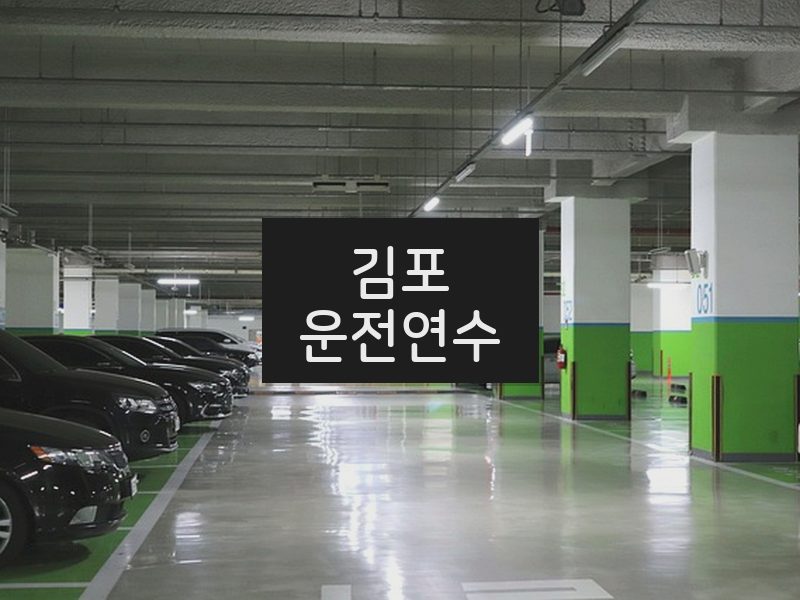 김포운전연수 후기