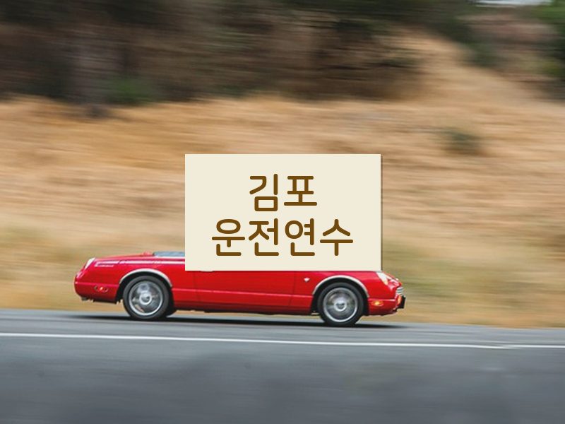 김포운전연수 후기