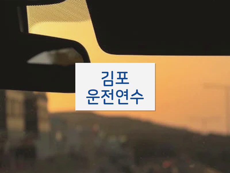 김포운전연수 후기