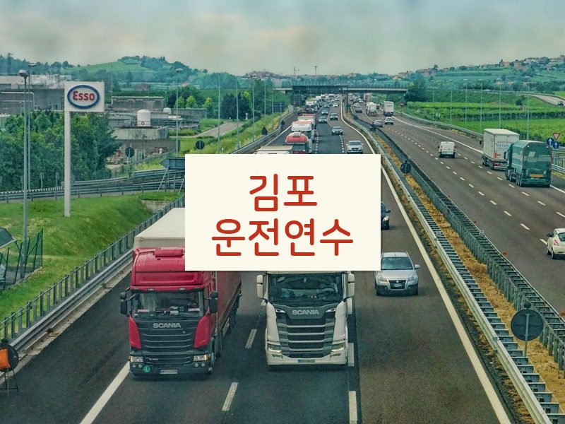 김포운전연수 후기