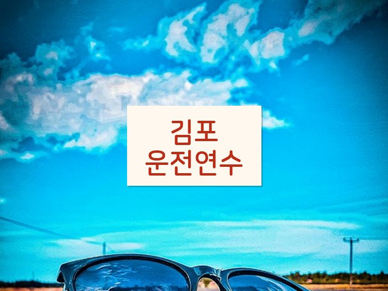 김포운전연수 후기