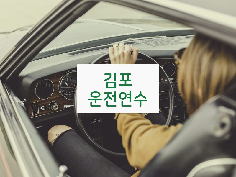 김포운전연수 후기