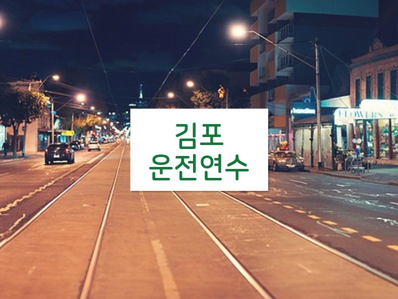 김포운전연수 후기