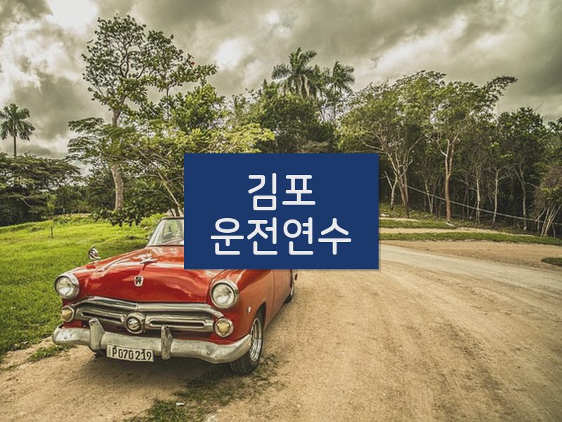 김포운전연수 후기