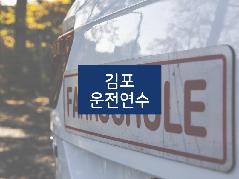 김포운전연수 후기