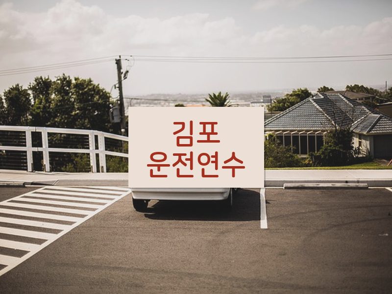 김포운전연수 후기