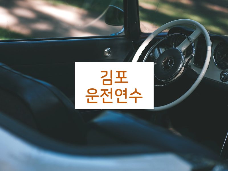 김포운전연수 후기