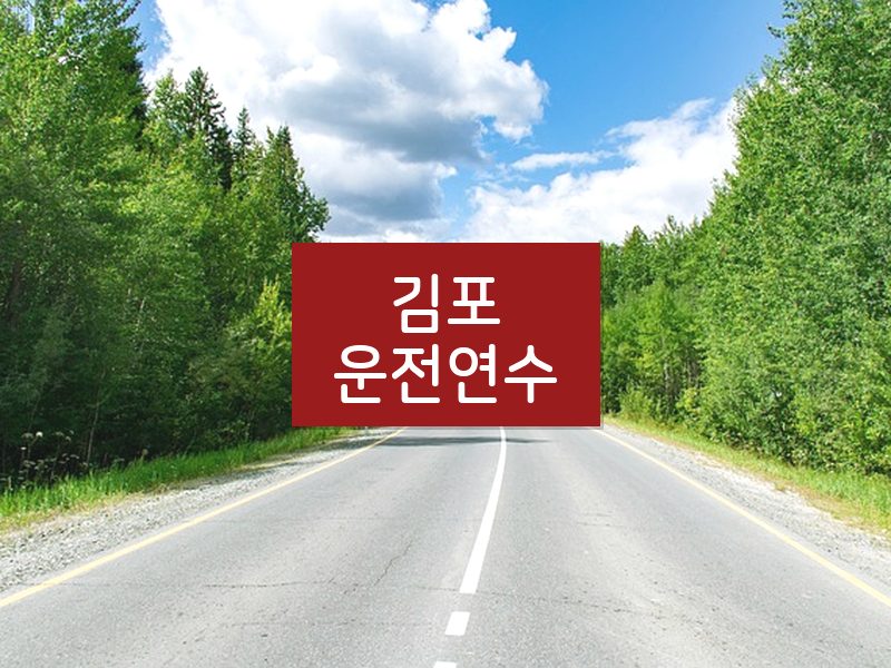 김포운전연수 후기