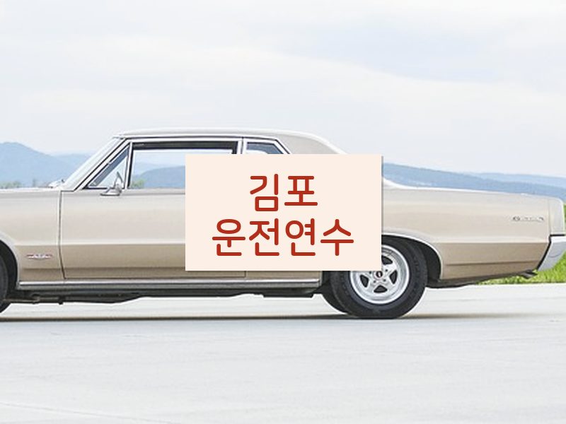 김포운전연수 후기