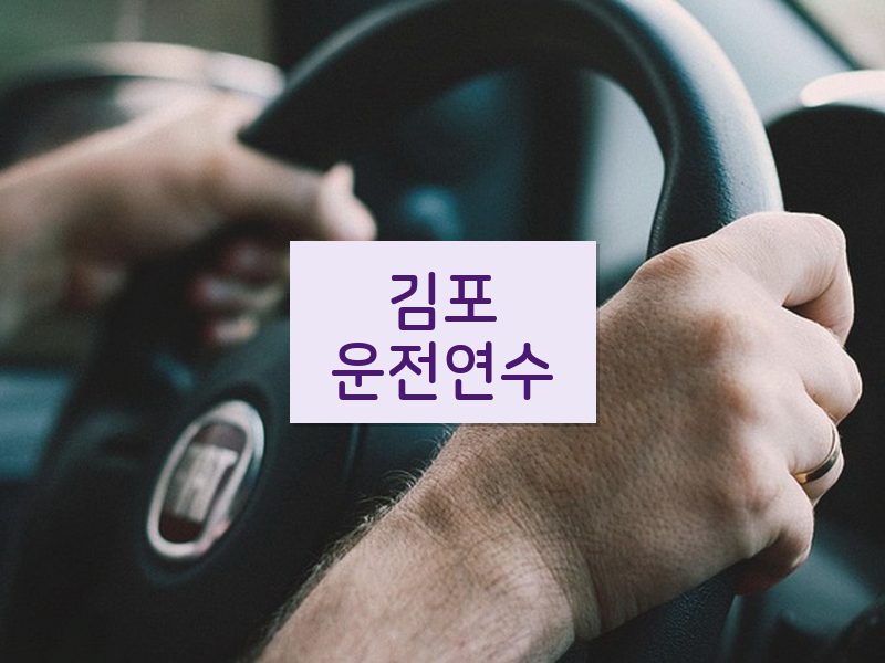 김포운전연수 후기