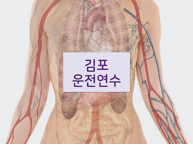 김포운전연수 후기