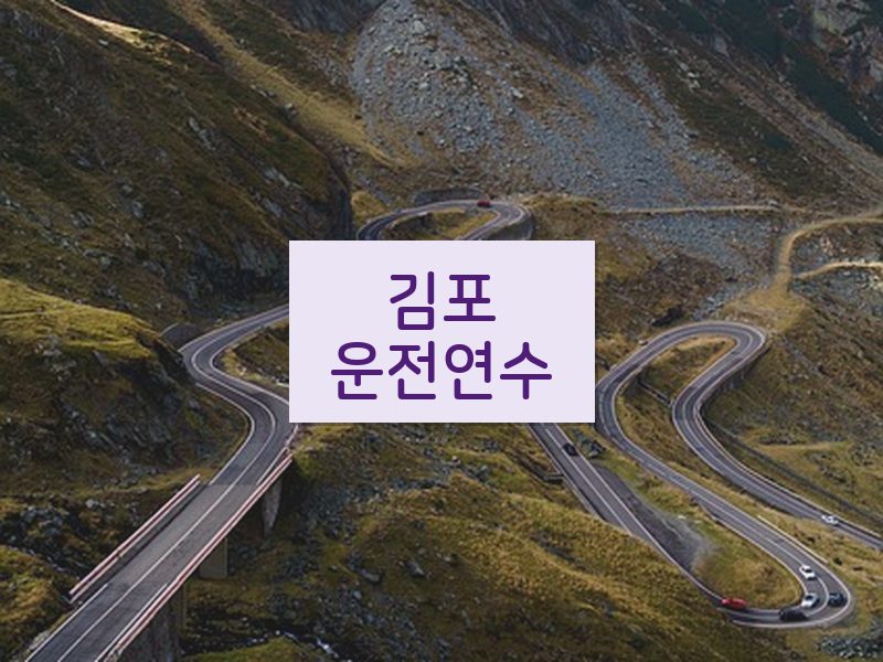 김포운전연수 후기
