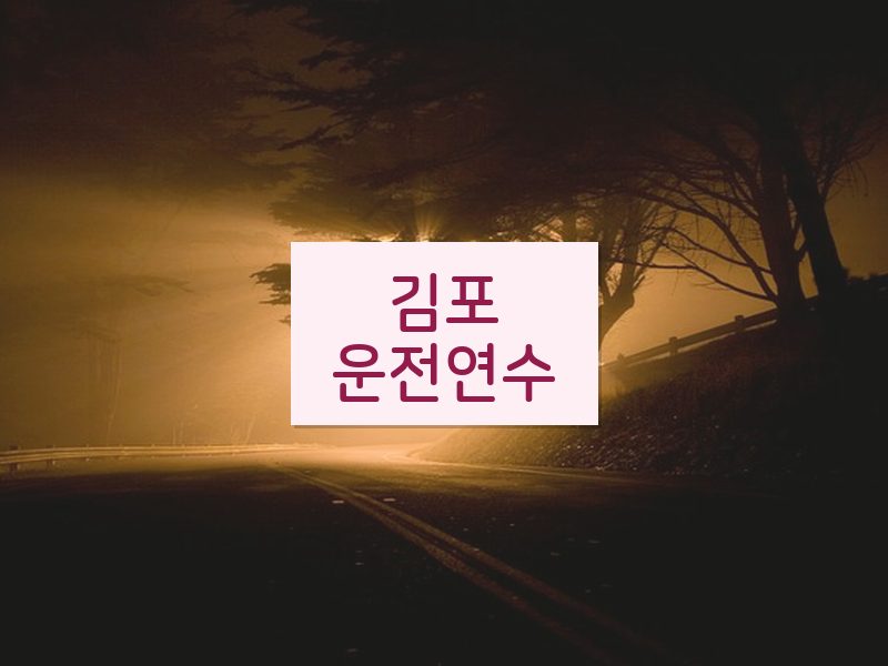 김포운전연수 후기