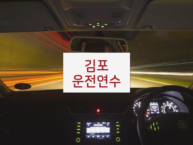 김포운전연수 후기