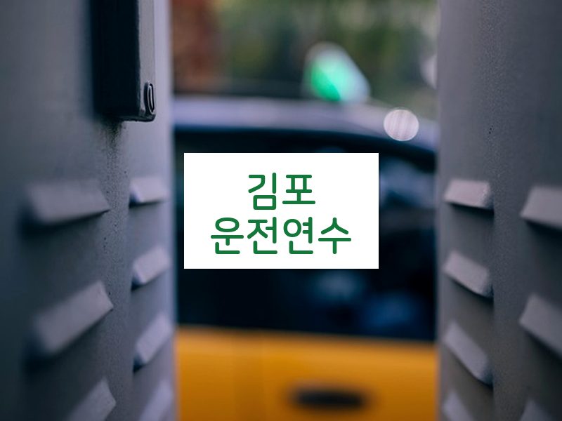 김포운전연수 후기