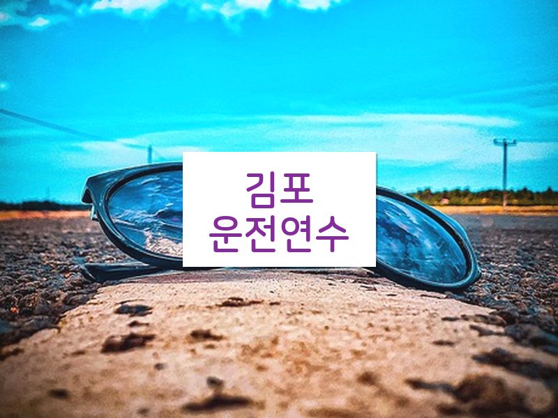 김포운전연수 후기