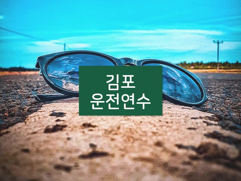 김포운전연수 후기