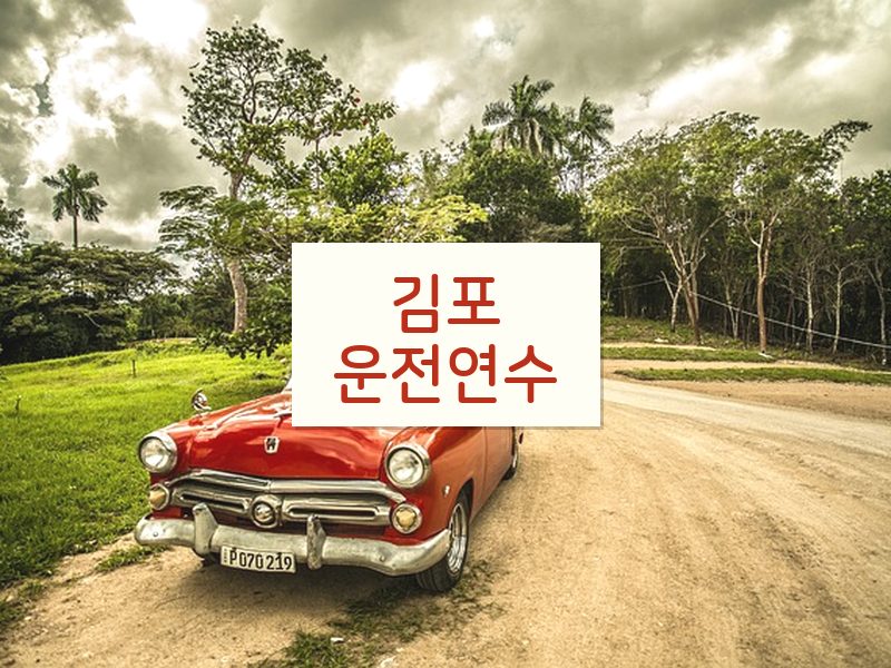 김포운전연수 후기