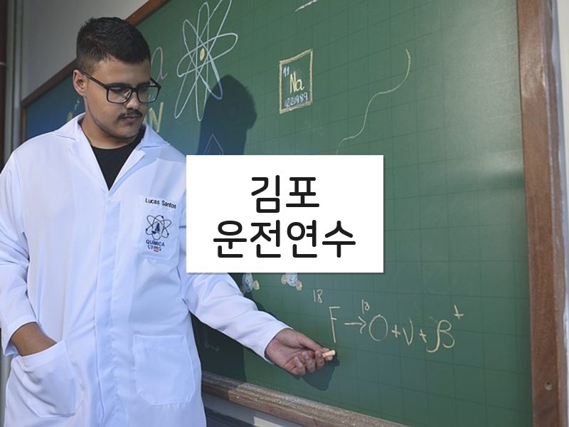 김포운전연수 후기