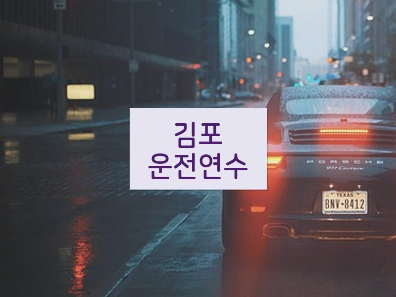 김포운전연수 후기