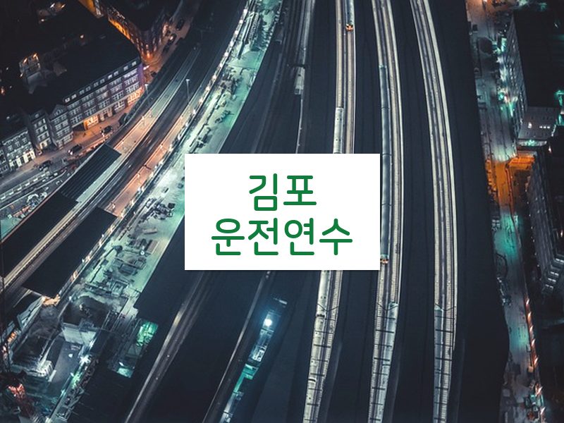 김포운전연수 후기