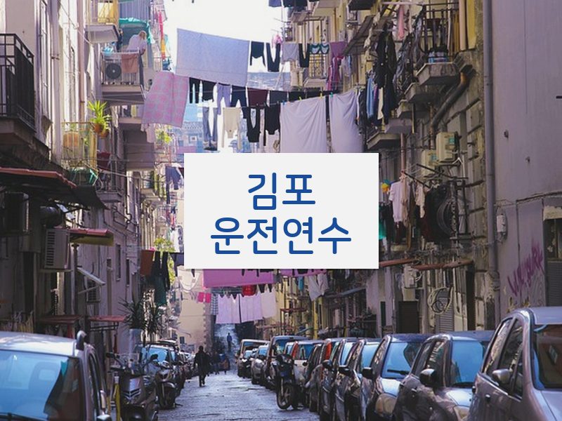 김포운전연수 후기