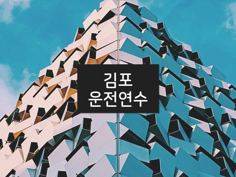 김포운전연수 후기