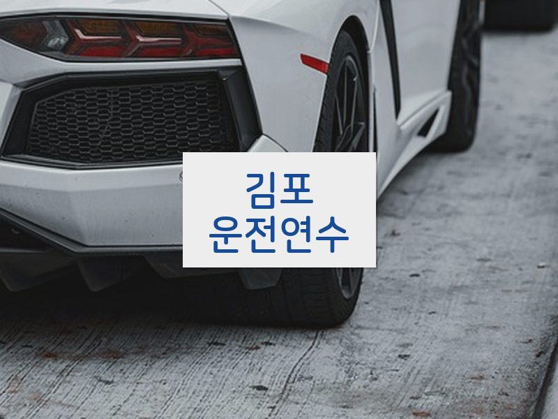 김포운전연수 후기