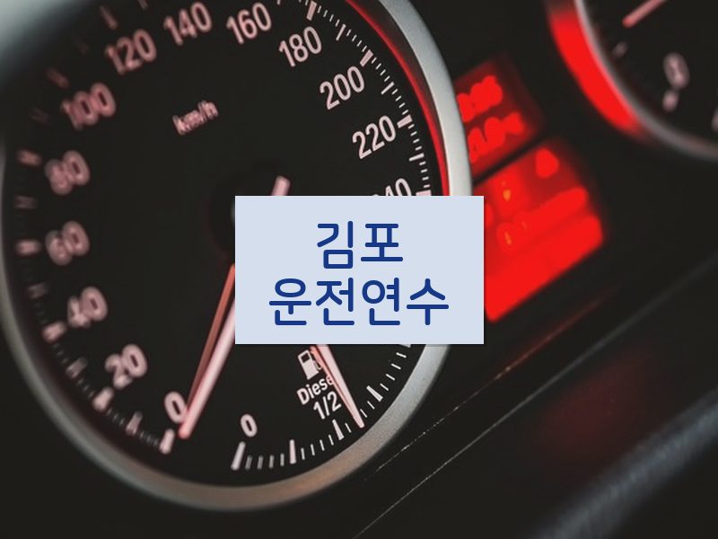 김포운전연수 후기