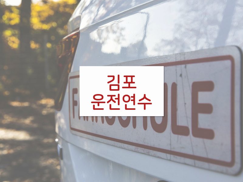 김포운전연수 후기