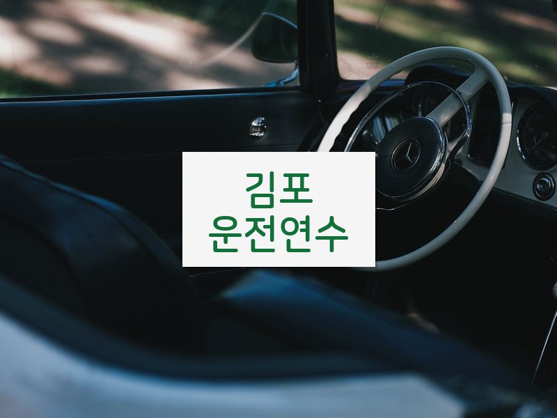 김포운전연수 후기