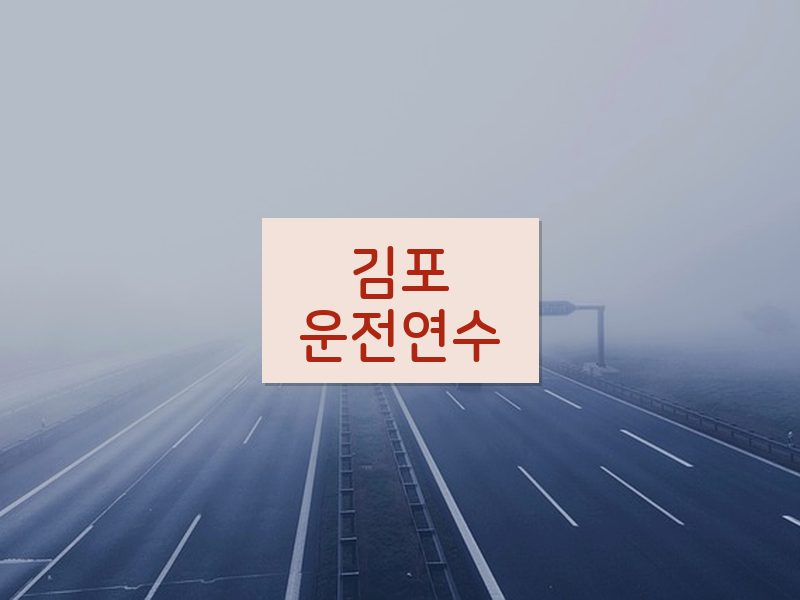 김포운전연수 후기