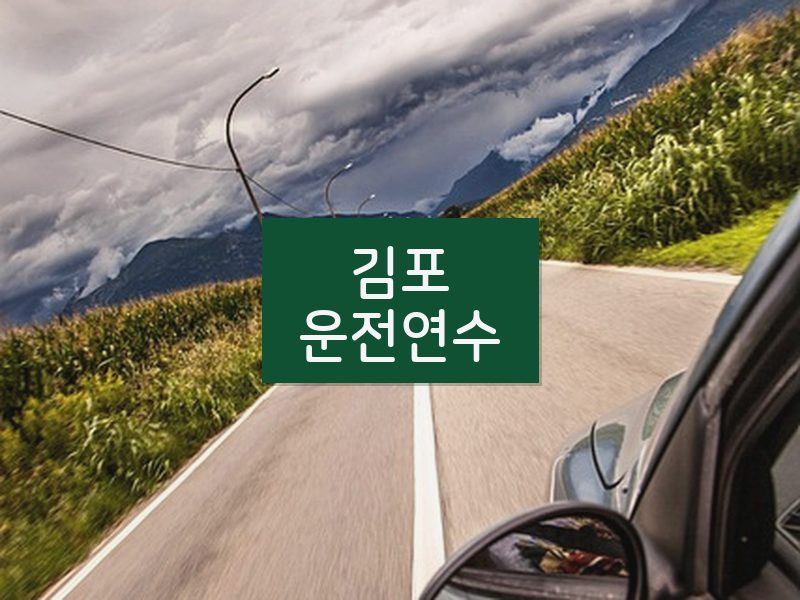 김포운전연수 후기