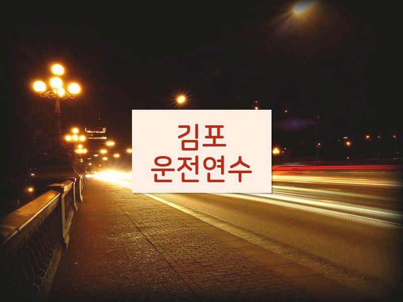 김포운전연수 후기