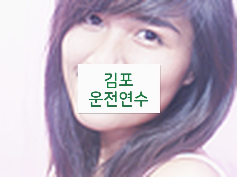 김포운전연수 후기