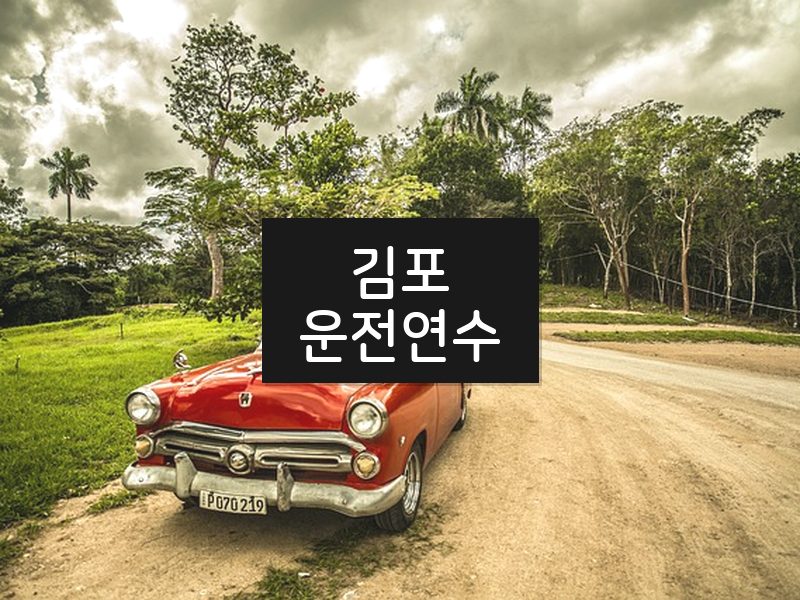 김포운전연수 후기