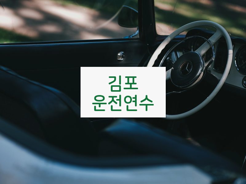 김포운전연수 후기
