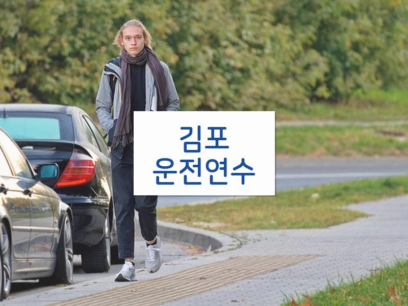 김포운전연수 후기