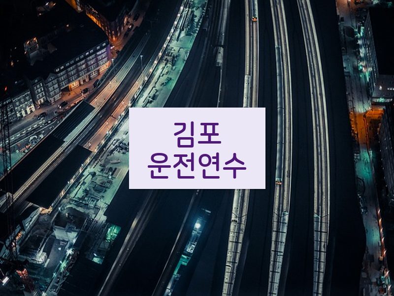 김포운전연수 후기