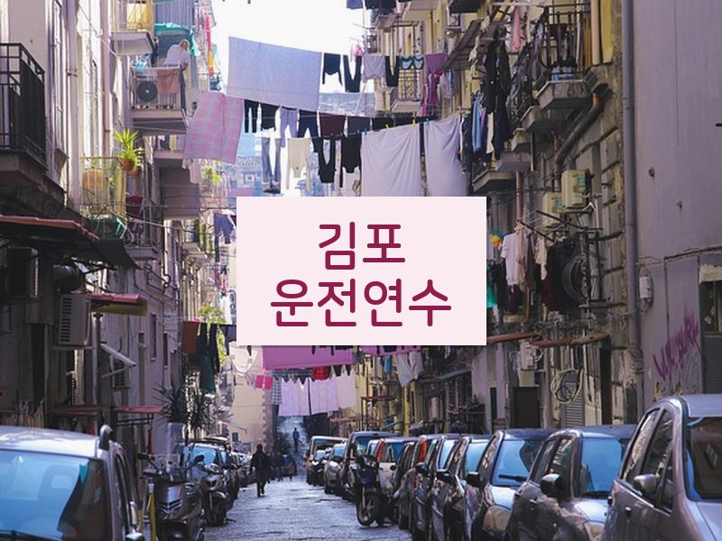 김포운전연수 후기