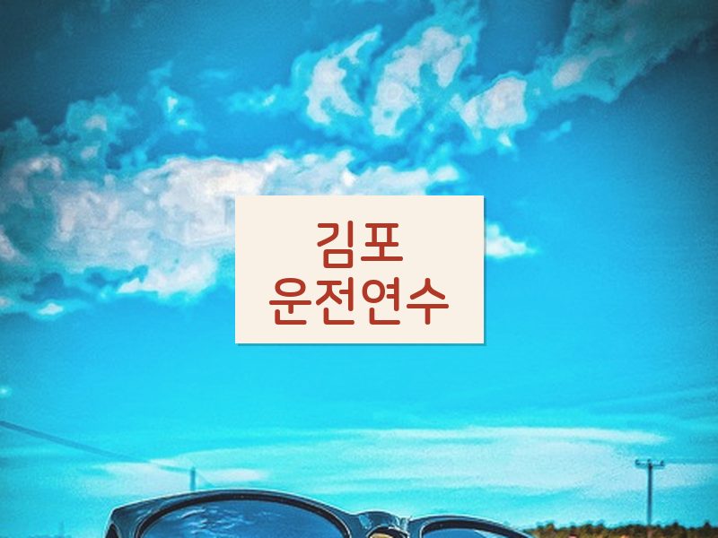 김포운전연수 후기