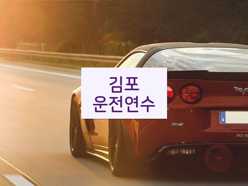 김포운전연수 후기