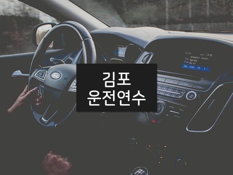 김포운전연수 후기