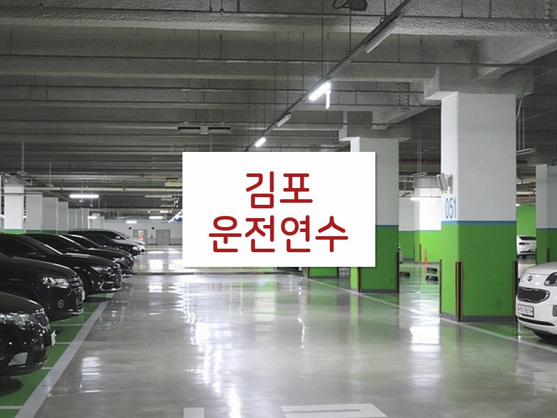 김포운전연수 후기