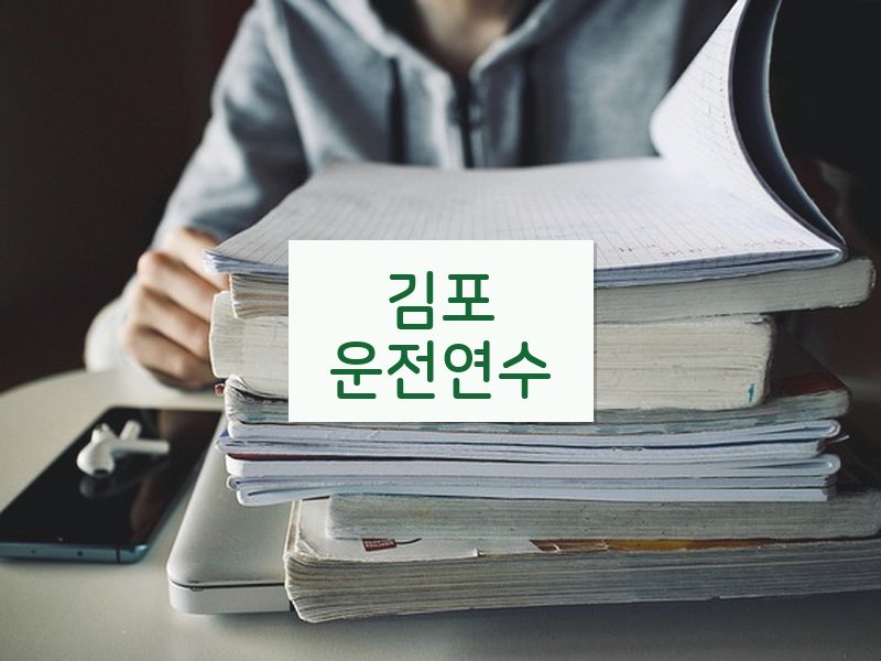 김포운전연수 후기