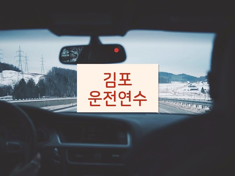 김포운전연수 후기