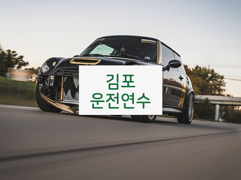 김포운전연수 후기