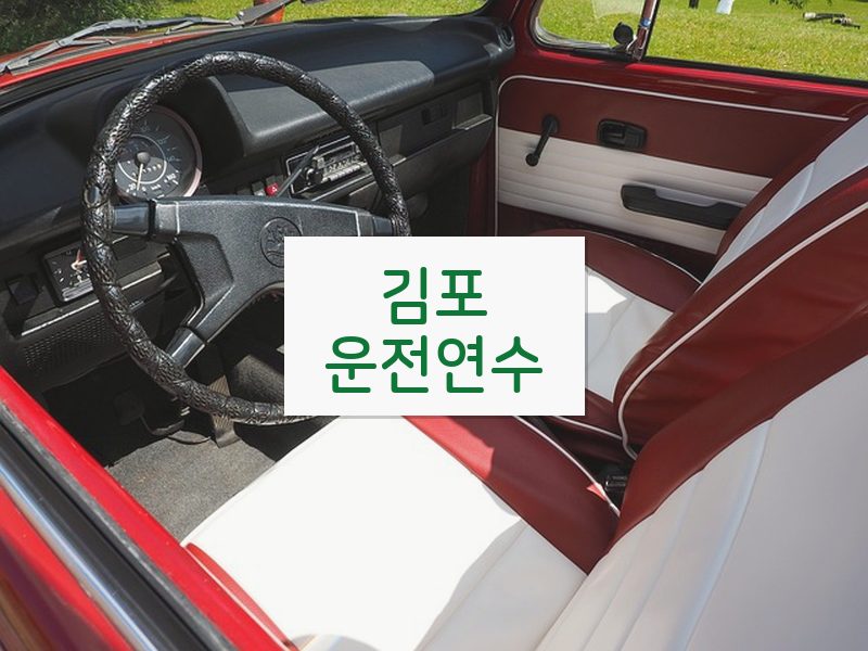 김포운전연수 후기